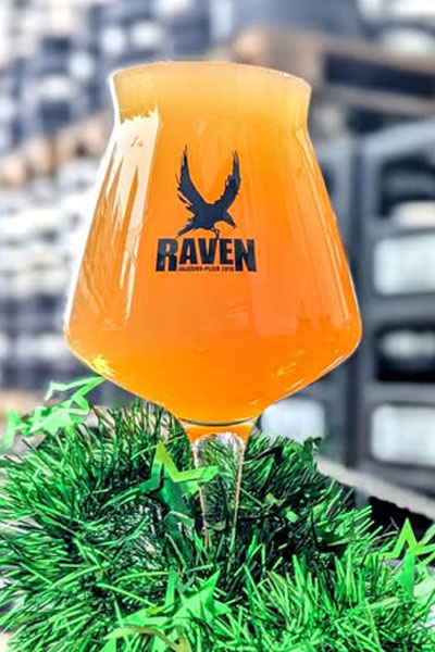 Kliknutím zvětšíte Raven 198