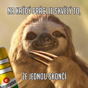 Klikni pro zvětšení Reklama