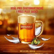 Klikni pro zvětšení Reklama