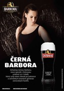 Klikni pro zvětšení Reklama