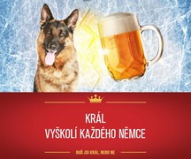 Klikni pro zvětšení Reklama