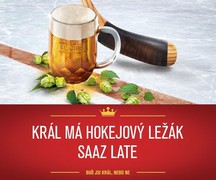 Klikni pro zvětšení Reklama