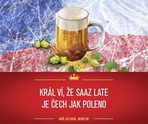 Klikni pro zvětšení Reklama