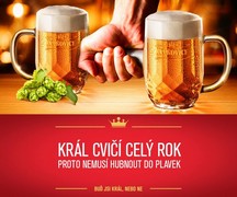 Klikni pro zvětšení Reklama