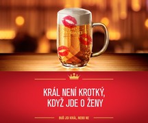 Klikni pro zvětšení Reklama