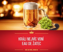 Klikni pro zvětšení Reklama
