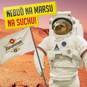 Reklama