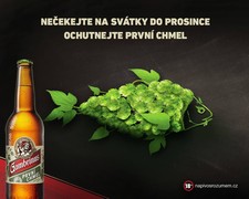 Klikni pro zvětšení Reklama