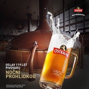 Klikni pro zvětšení Reklama