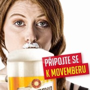 Klikni pro zvětšení Reklama
