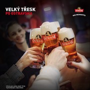 Klikni pro zvětšení Reklama