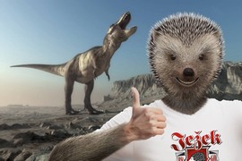 Klikni pro zvětšení Reklama