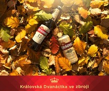 Klikni pro zvětšení Reklama