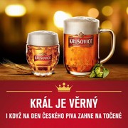 Klikni pro zvětšení Reklama