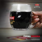 Klikni pro zvětšení Reklama