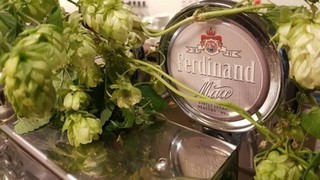 Reklama
