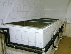 Pivovar