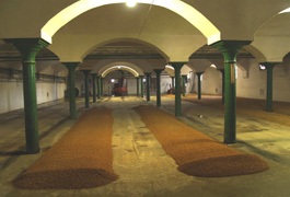 Pivovar