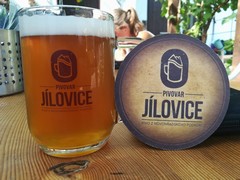 Klikni pro zvětšení Pivo