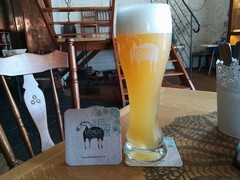 Klikni pro zvětšení Pivo