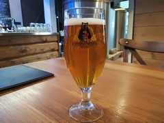 Pivo
