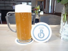 Pivo