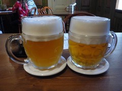 Pivo