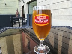 Pivo