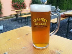 Pivo