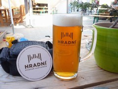 Pivo