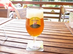 Pivo