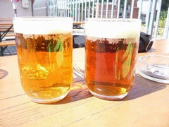 Pivo