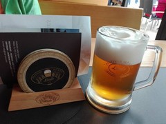 Pivo