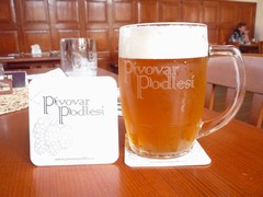 Pivo
