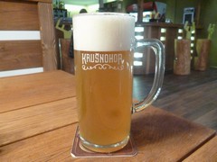 Pivo