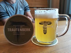 Pivo