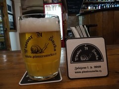 Pivo