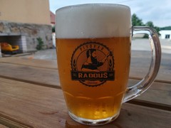 Pivo