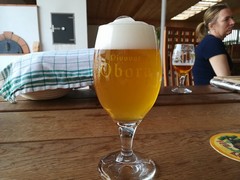 Pivo