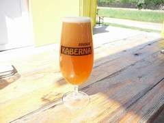 Pivo