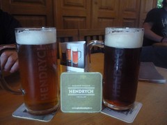 Pivo