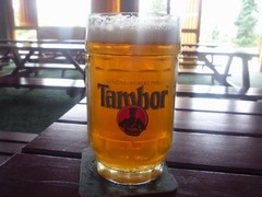 Pivo