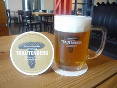Pivo