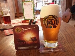 Pivo