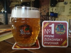 Pivo