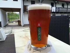 Pivo