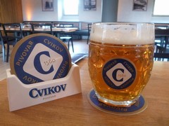 Pivo