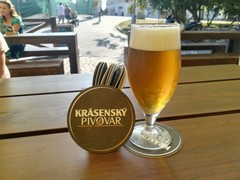 Pivo