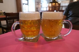 Pivo
