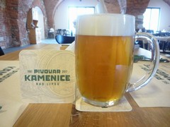 Pivo